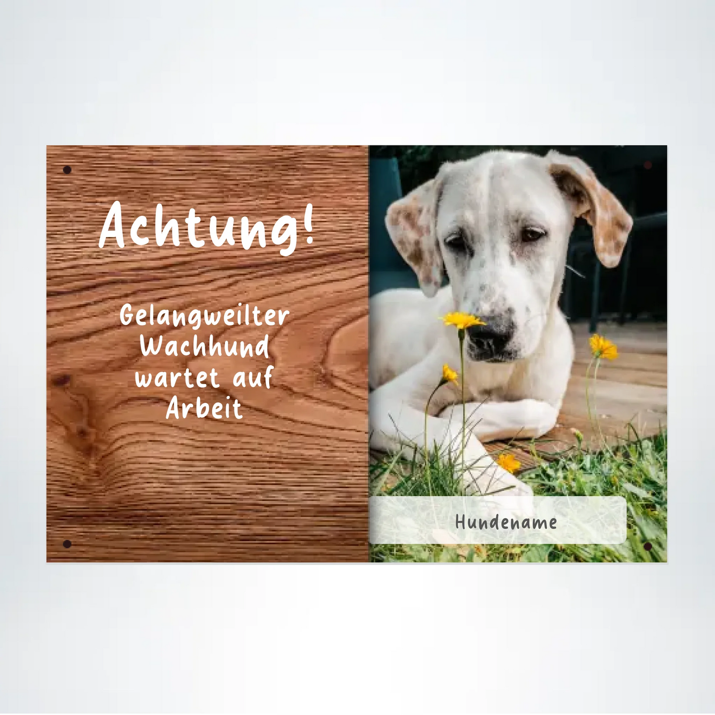 Hundeschild mit Foto und Wunschtext 30x30 cm 2