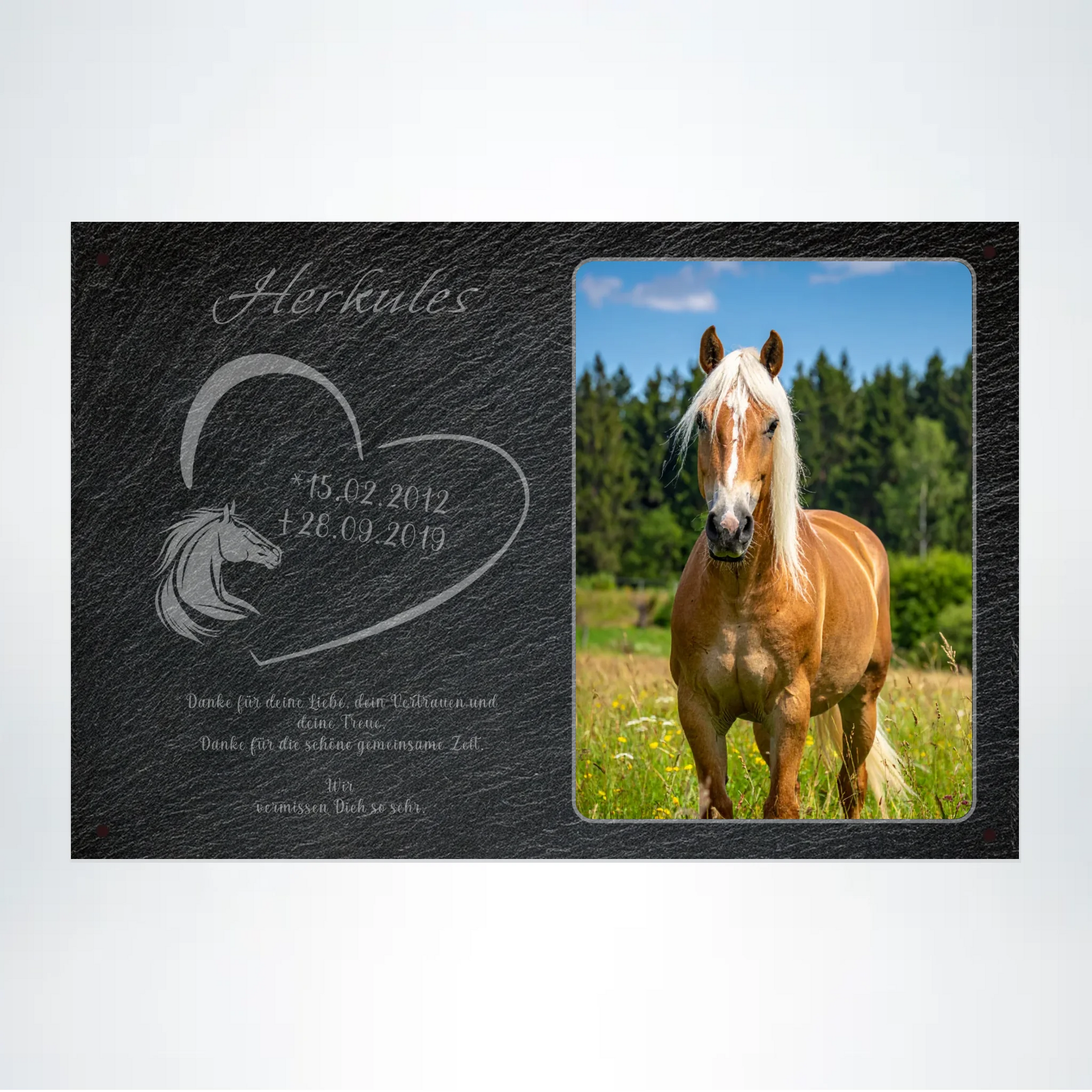 Pferde Gedenktafel mit Foto rechteckig 30x20 cm - Vechteshop
