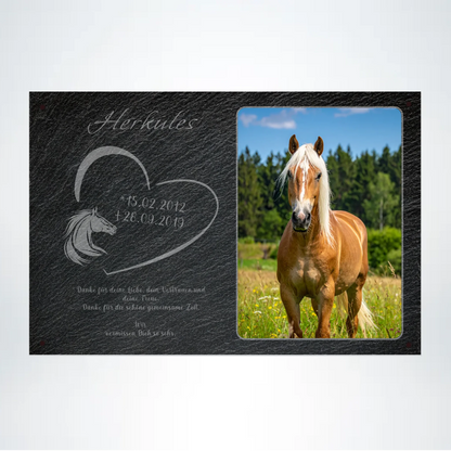 Pferde Gedenktafel mit Foto rechteckig 30x20 cm - Vechteshop
