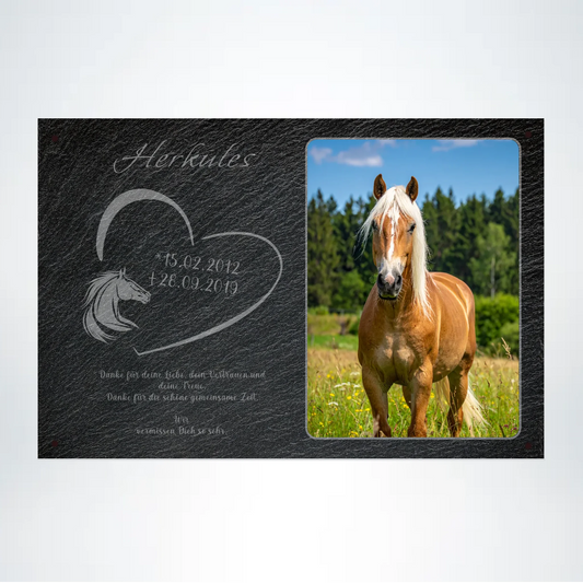 Pferde Gedenktafel mit Foto rechteckig 30x20 cm - Vechteshop
