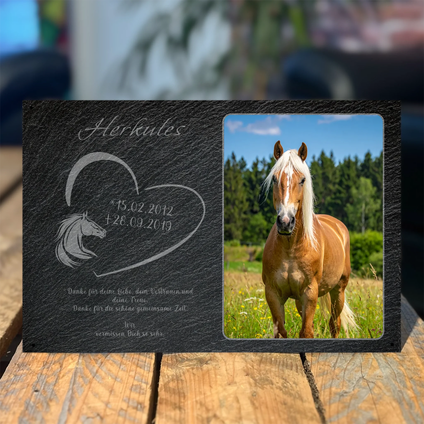 Pferde Gedenktafel mit Foto rechteckig 30x20 cm - Vechteshop