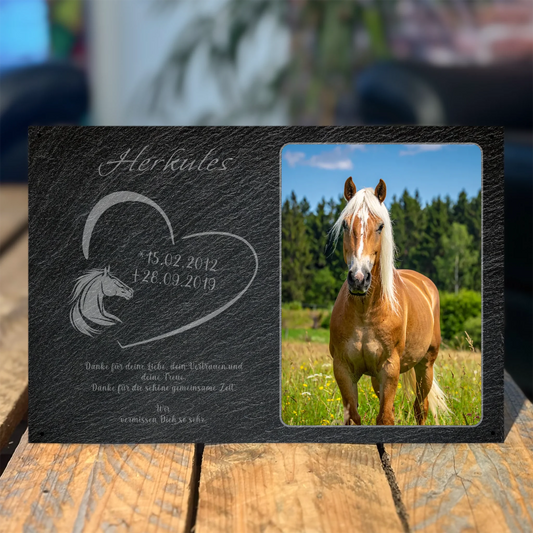Pferde Gedenktafel mit Foto rechteckig 30x20 cm - Vechteshop