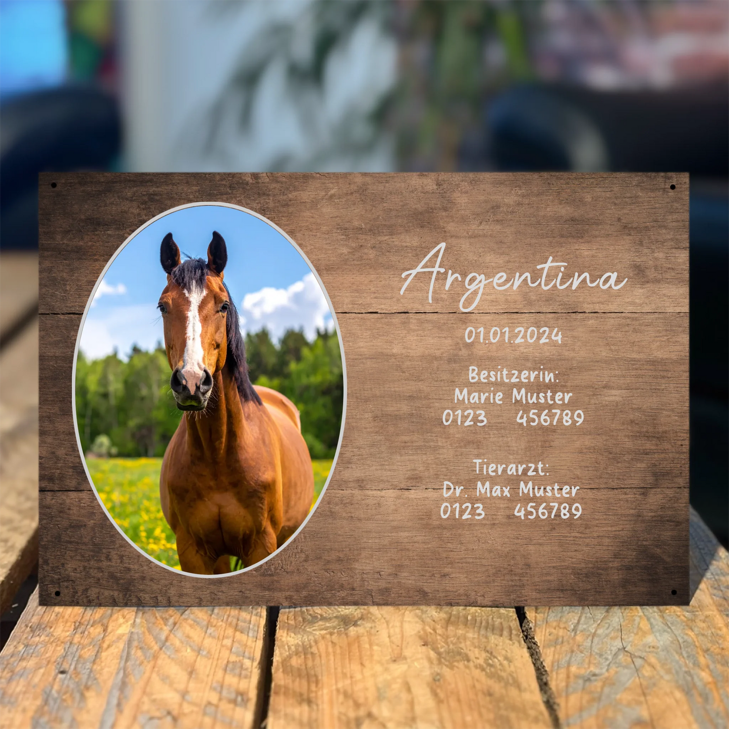 Pferdebox Schild personalisierbar