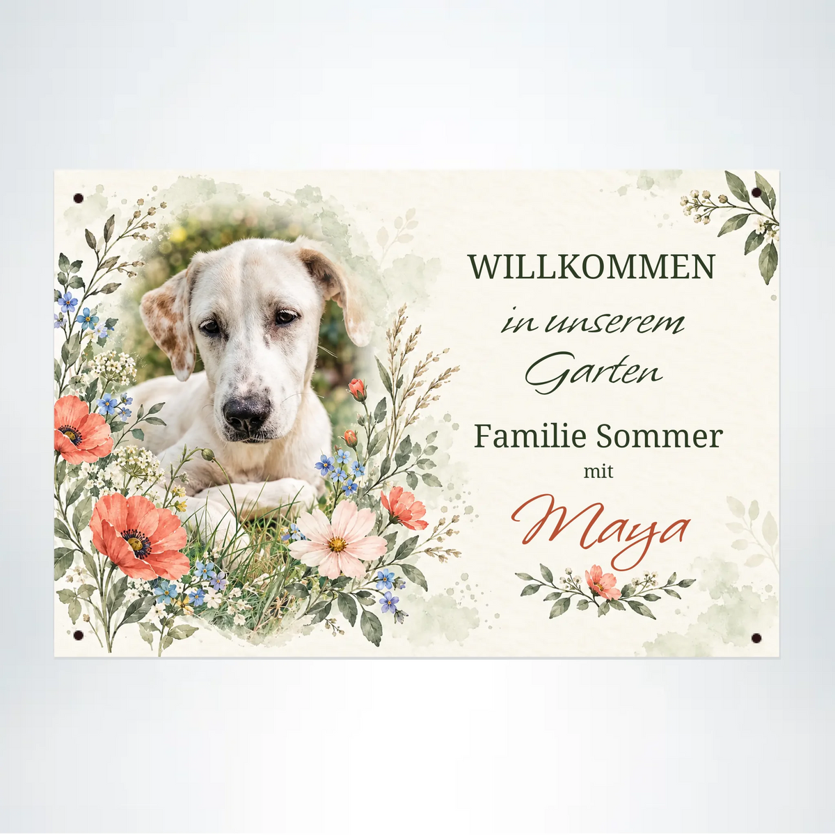 Hundeschild Blumenwiese aus 3 mm Alu-Verbund, 30 x 20 cm